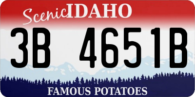 ID license plate 3B4651B