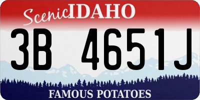 ID license plate 3B4651J