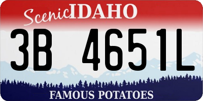 ID license plate 3B4651L