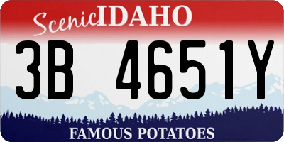 ID license plate 3B4651Y
