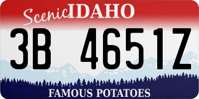 ID license plate 3B4651Z