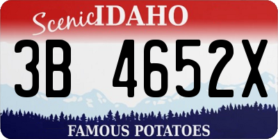 ID license plate 3B4652X