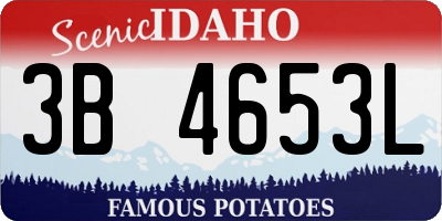 ID license plate 3B4653L