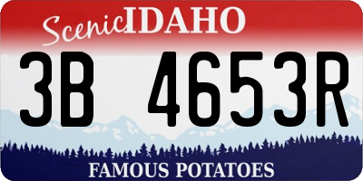 ID license plate 3B4653R