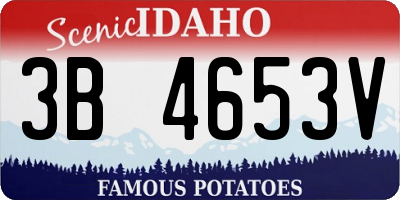 ID license plate 3B4653V