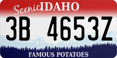 ID license plate 3B4653Z
