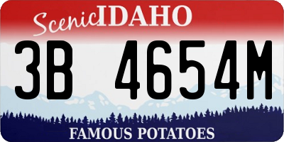 ID license plate 3B4654M
