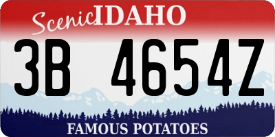ID license plate 3B4654Z