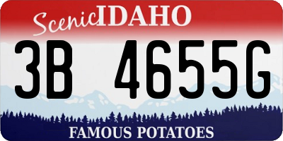 ID license plate 3B4655G