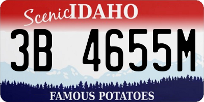 ID license plate 3B4655M