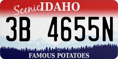 ID license plate 3B4655N