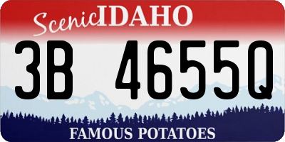 ID license plate 3B4655Q