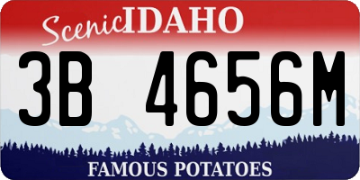ID license plate 3B4656M