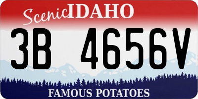 ID license plate 3B4656V