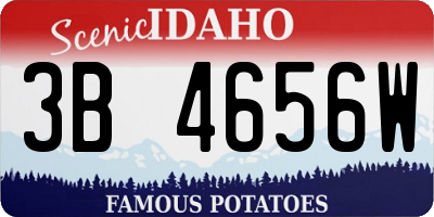 ID license plate 3B4656W