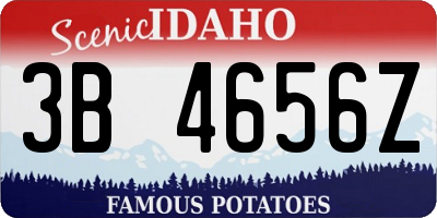 ID license plate 3B4656Z