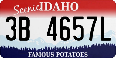 ID license plate 3B4657L