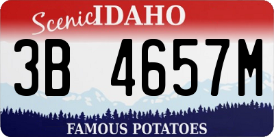 ID license plate 3B4657M