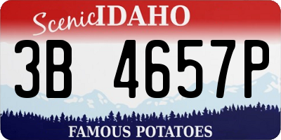 ID license plate 3B4657P