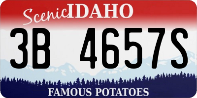 ID license plate 3B4657S