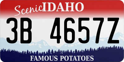 ID license plate 3B4657Z