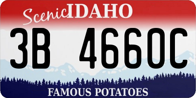 ID license plate 3B4660C