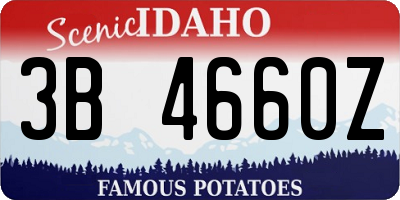 ID license plate 3B4660Z