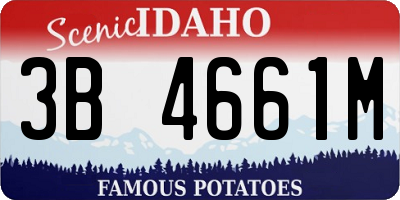 ID license plate 3B4661M