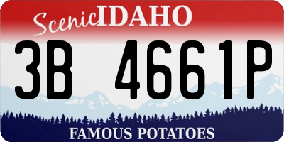 ID license plate 3B4661P