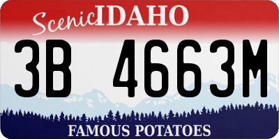 ID license plate 3B4663M