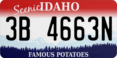 ID license plate 3B4663N