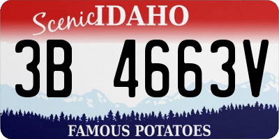 ID license plate 3B4663V