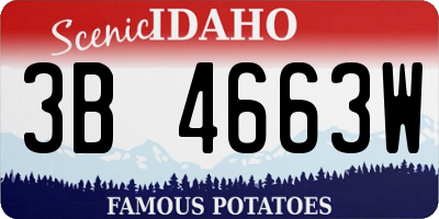 ID license plate 3B4663W