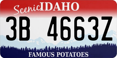 ID license plate 3B4663Z