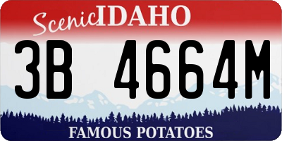 ID license plate 3B4664M