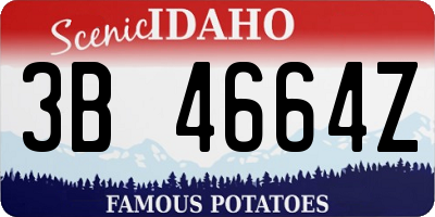 ID license plate 3B4664Z