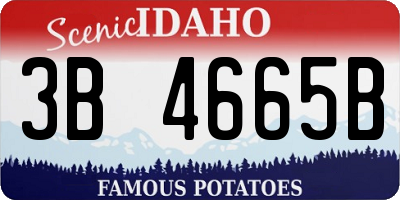 ID license plate 3B4665B