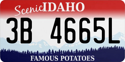 ID license plate 3B4665L