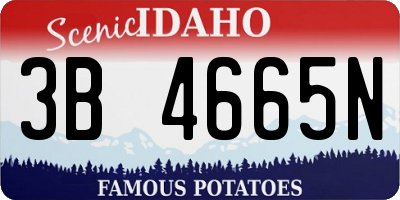 ID license plate 3B4665N
