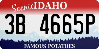 ID license plate 3B4665P