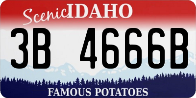 ID license plate 3B4666B
