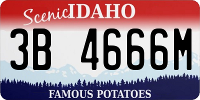 ID license plate 3B4666M