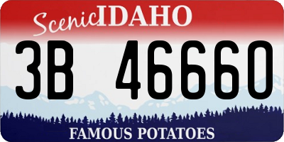 ID license plate 3B4666O