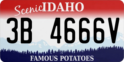ID license plate 3B4666V