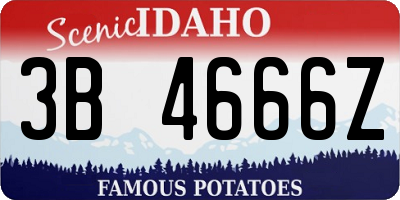 ID license plate 3B4666Z
