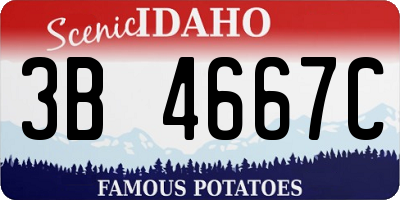 ID license plate 3B4667C