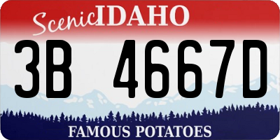 ID license plate 3B4667D