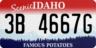 ID license plate 3B4667G