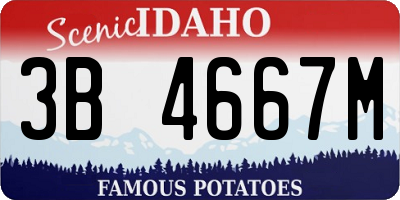 ID license plate 3B4667M