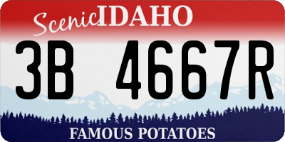 ID license plate 3B4667R